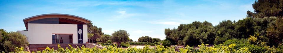 Binifadet Wine tasting - Sant Lluis Binifadet Wine tasting - Sant Lluis